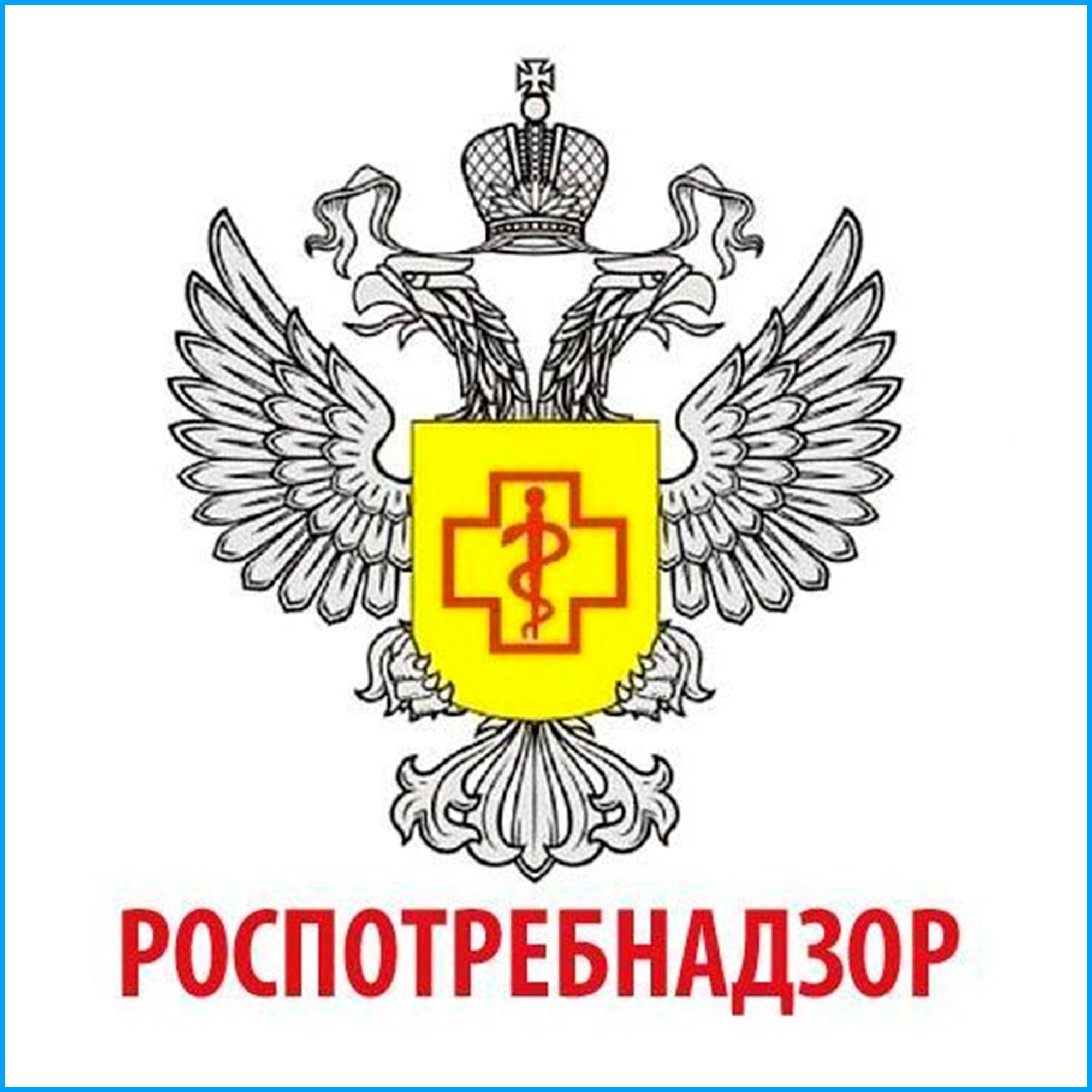 Онлайн-встреча с Федеральной службой Роспотребнадзора по вопросам обеспечения санитарно-эпидемиологического благополучия в детских лагерях